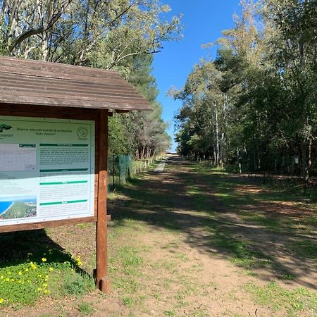Villaggio Camping Uria Foce Varano Exteriör bild